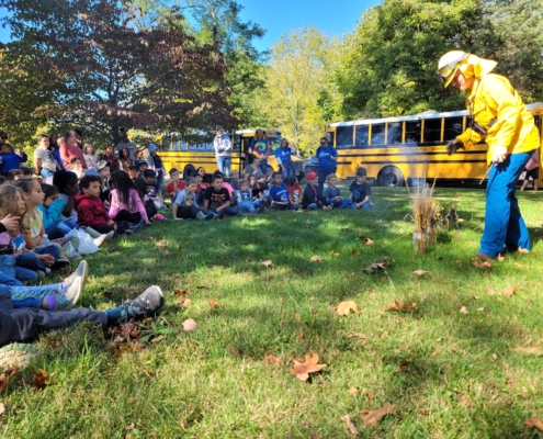 53303572865_ec0cd15732_o