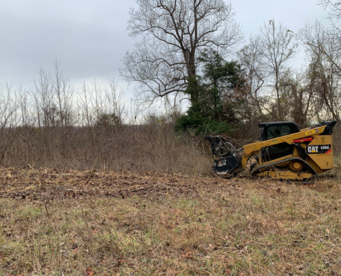 Forestry mulcher in action