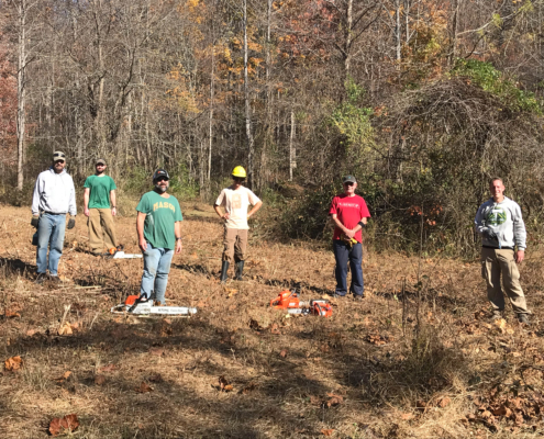 Group of volunteers during an Autumn Olive control day 4