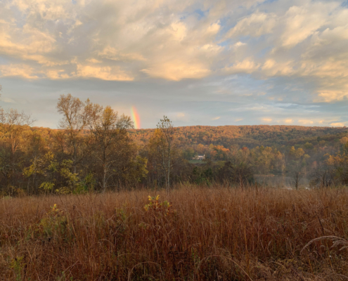 Turkey Gap shrubland in fall