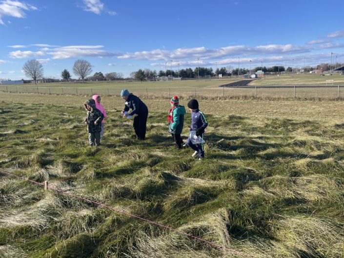 Students collecting plants for Plant Survey